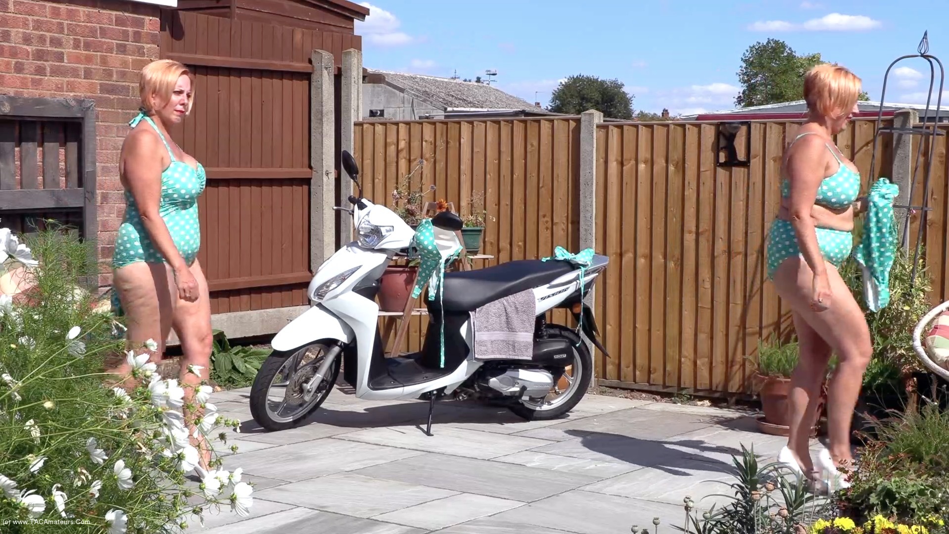 Retro Polka Dots Pt2